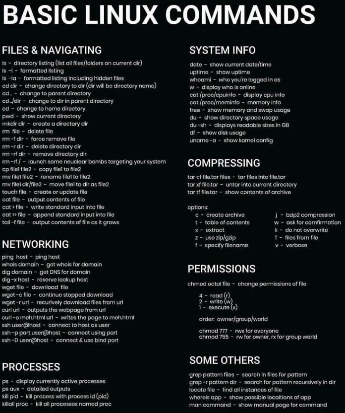 Basic terminal commands. As you can imagine, there are quite a… | by S ...