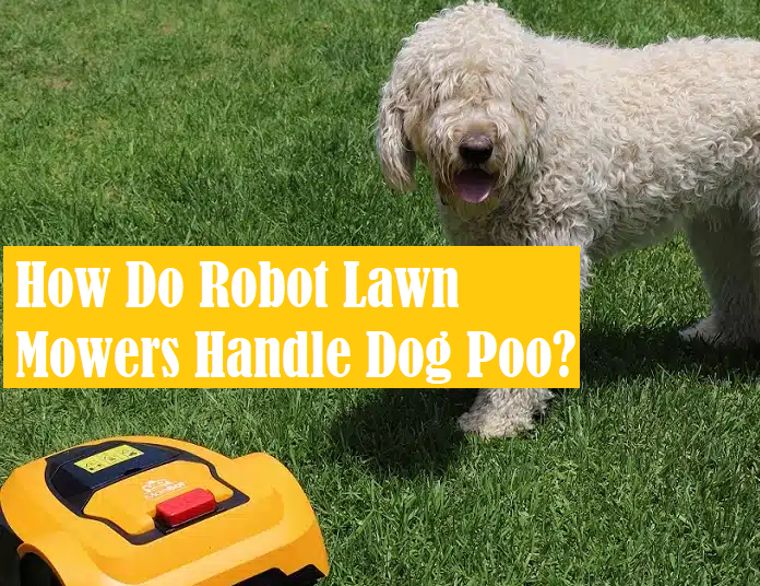 How Do Robot Lawn Mowers Navigate Dog Poo Challenges? Olivia Medium
