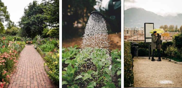 I Love You Like I Love My Garden poetry romance | Medium