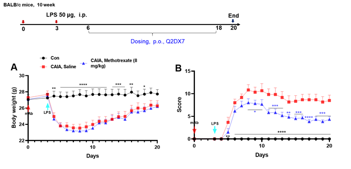 Effects of methotrexate on collagen antibody induced arthritis (CAIA). Mice received mAb injection on day 0, LPS injection on day 3. Body weight (A) and clinical score (B) were recorded every day from day 3. Mean ± SEM.