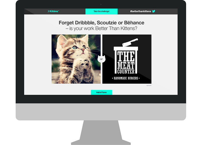 The day the kittens went viral.. Charting the eruption of an internet