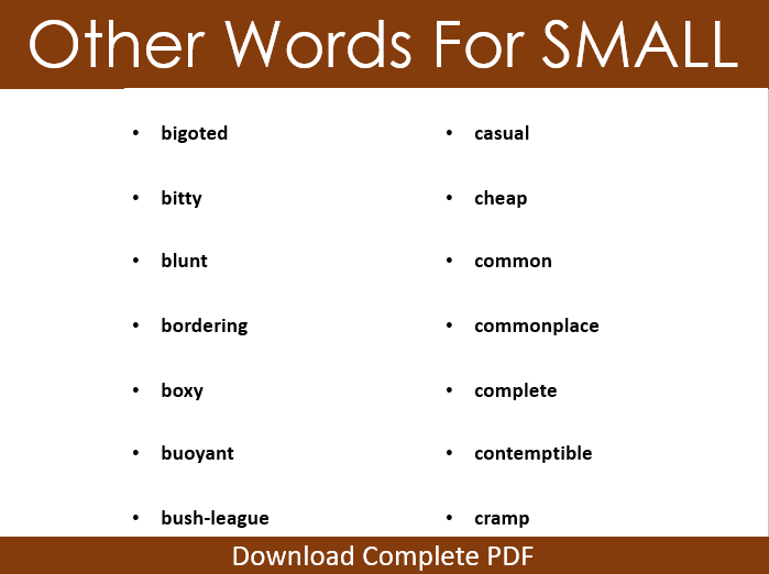 another word for small presentation