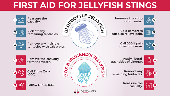 First Aid for Jellyfish Stings
