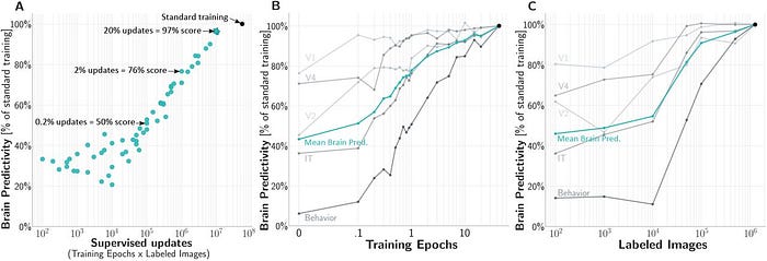 This study analyzes the alignment of large language models (LLMs) with the human brain’s language network across 34 training checkpoints. It reveals that brain alignment closely tracks formal linguistic competence, such as linguistic rules, while functional competence, including reasoning, develops less strongly. The research also shows that model size isn’t a reliable predictor of brain alignment and highlights opportunities to improve future LLMs for better language performance.