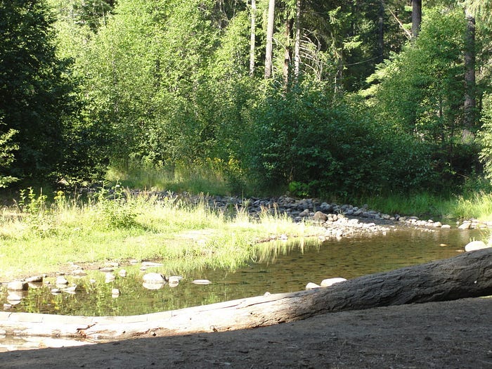 Our church-reserved U.S. Forest Service campground is a great place to relax and unwind | All photos by author