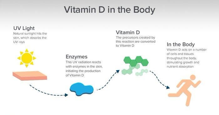 Vitamin D: The crucial sunshine vitamin | by Rachel Pamart | Medium