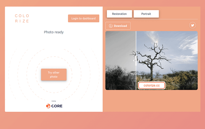 CC AI görüntü yükselticisini renklendirin