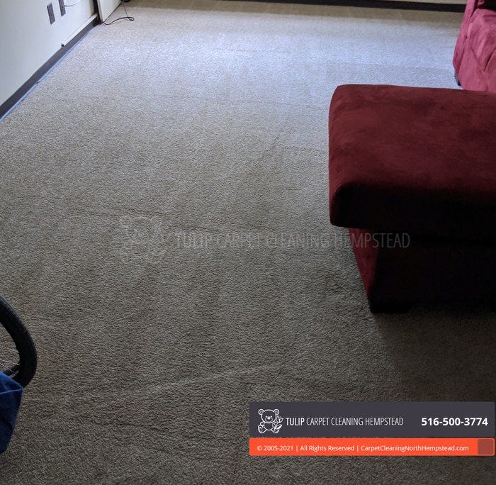 Tulip Carpet Cleaning Hempstead Ronnie Bradford Medium