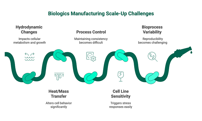 人工智能原生世界中的生物制造-RecodeX