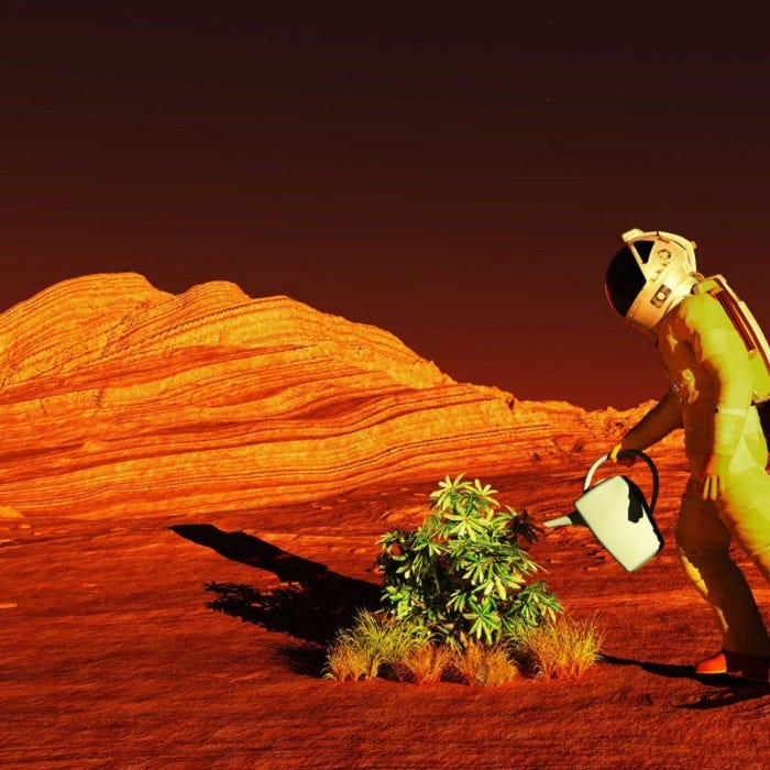 Can we create life on Mars?. As a nerdy, natureloving kid growing
