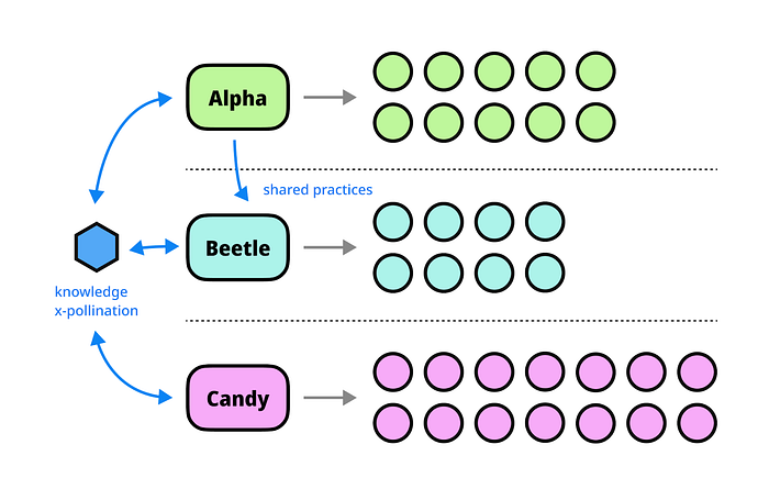 Three systems are sharing best practices. The Alpha, Beetle and Candy systems are virtually connected via knowledge cross-pollination. Further, there is indication that the Beetle and Candy systems are adopting some of the best practices from the Alpha system.
