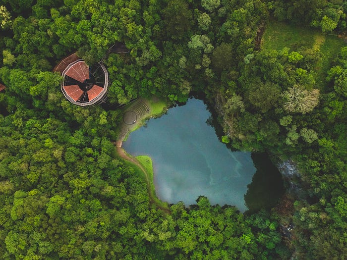 Picture of an abandoned object in the middle of a lush green forest and small lake.