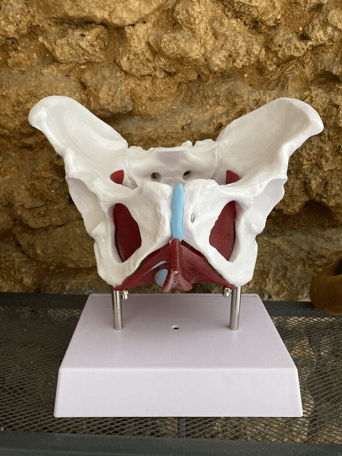 Couples Intimacy Coaching in Lisbon: Rebuilding Connection Through the Body