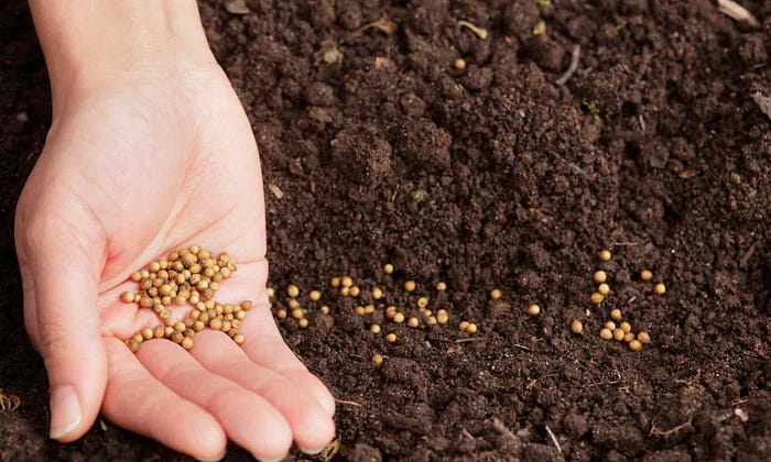 Preserving Seeds_img