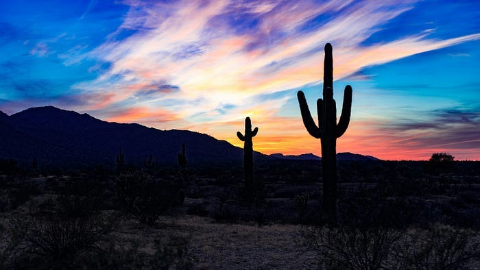 Photo by Tom Gainor on Unsplash