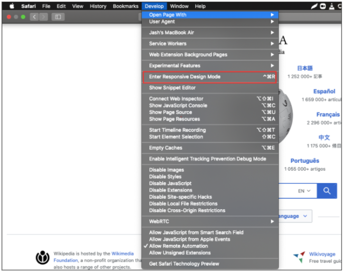 ios safari devtools