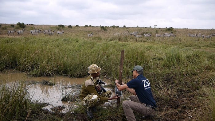 Poaching War Gets High Tech: Satellite Cameras Track Wildlife Killers ...
