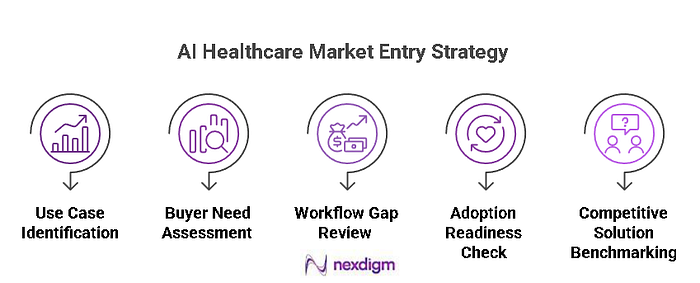 Healthcare Market Entry Strategy — Nexdigm