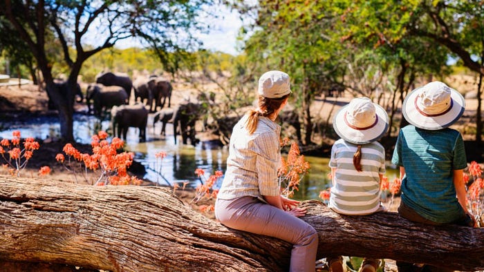 Three people sit on a log, observing elephants during a safari experience in Africa.