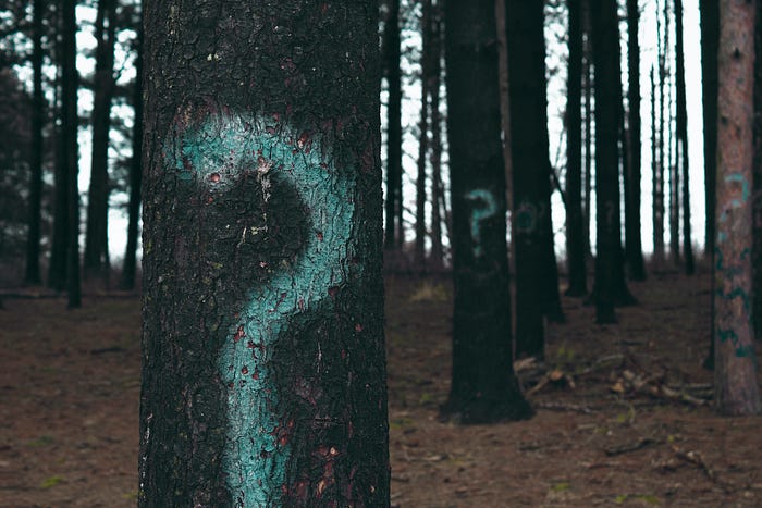 question mark sign on tree