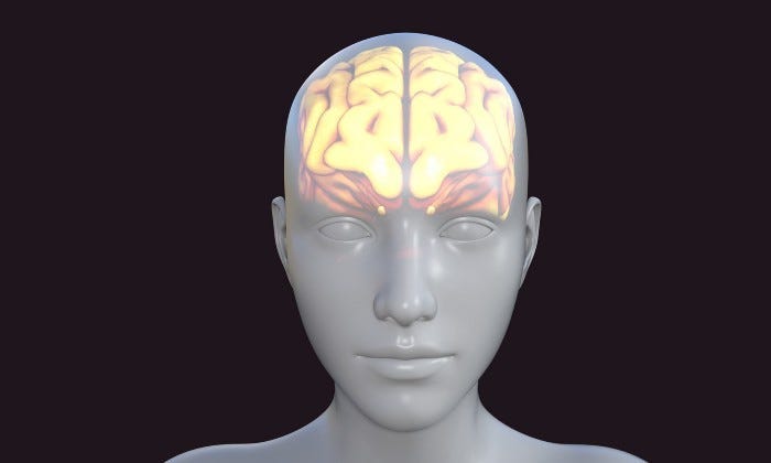 Our Amazing Brain: Science, Memory, and Intelligence. (21)