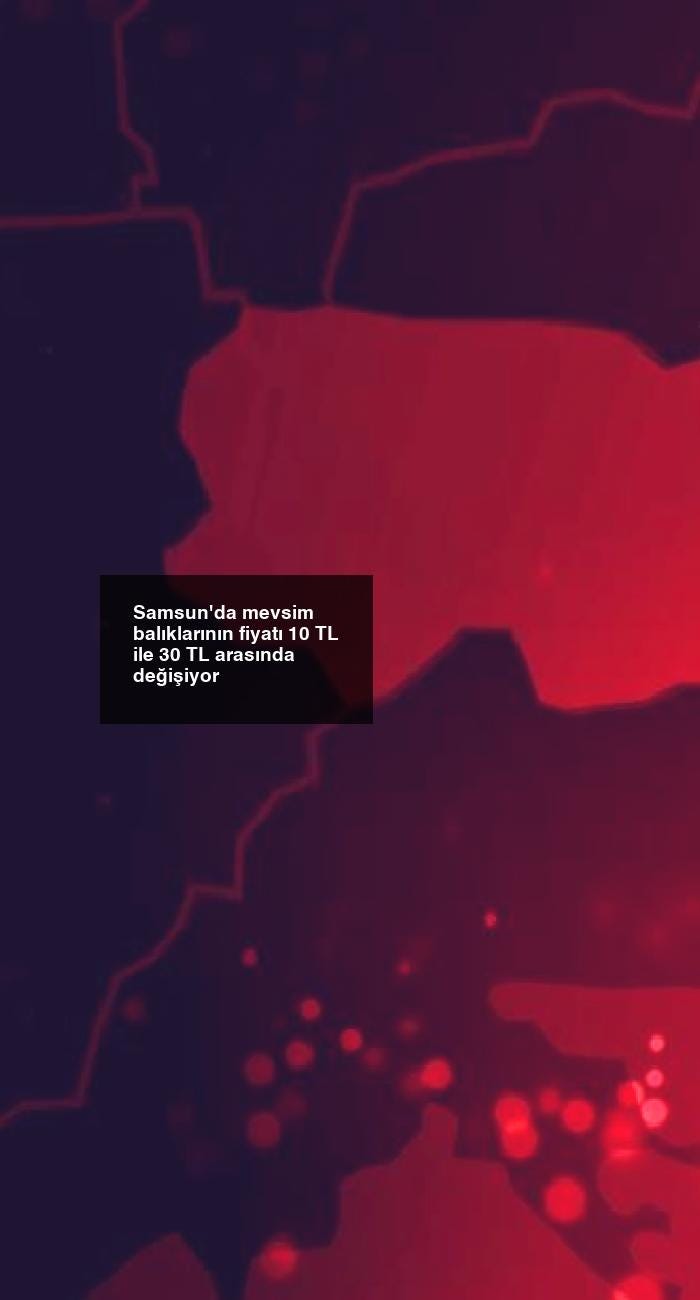 Samsun’da mevsim balıklarının fiyatı 10 TL ile 30 TL arasında değişiyor