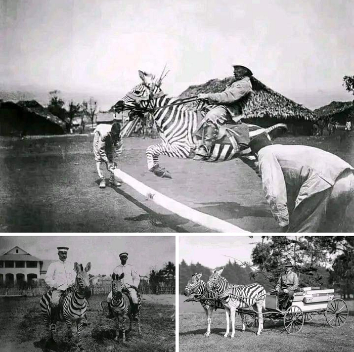 0*KLAcNkJwDzYgLQFT