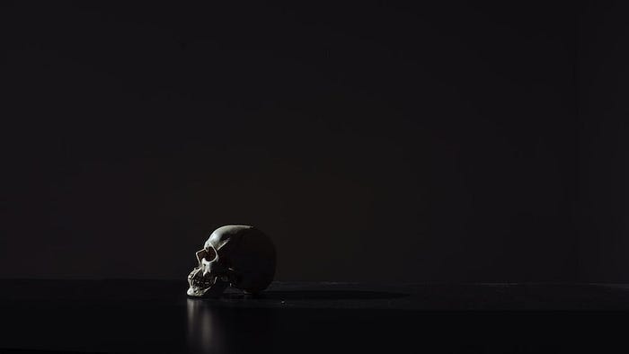 Photo by: Mathew MacQuarrie