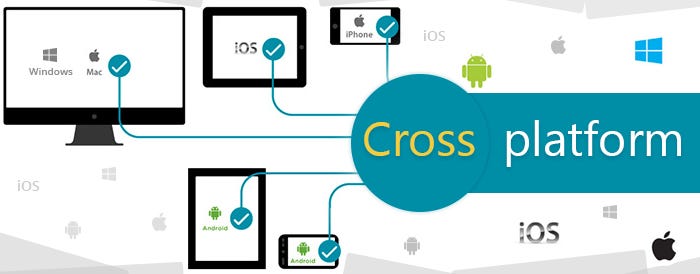 Before You Get Into Cross Platform App Development — A Few Check Points |  by Long Pan | Medium