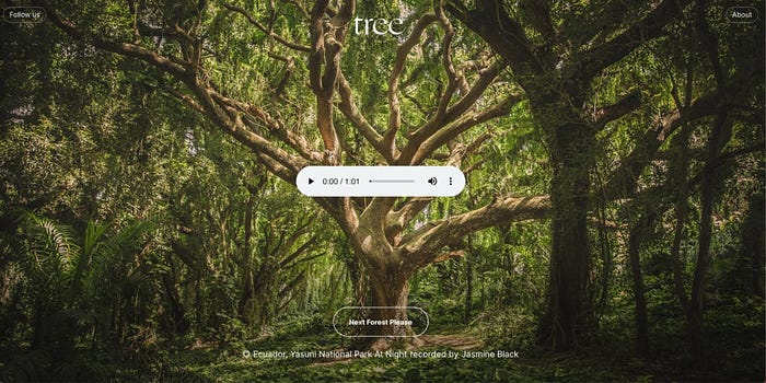 Tree.fm by New Now Design studio is a simple web interface that encourages users to experience various rainforests randomly. The use of images of lush vegetation and design components, along with microcopy, gives a Solarpunk effect of the present. (image source: Colossal)