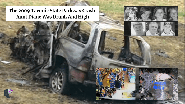 The 2009 Taconic State Parkway Crash: Aunt Diane Was Drunk And High