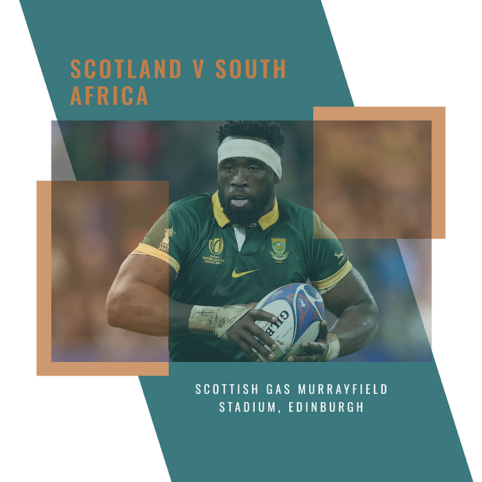 South Africa vs Scotland Rugby 10/11/2024 by South Africa vs England 16 Nov 2024 at Twickenham