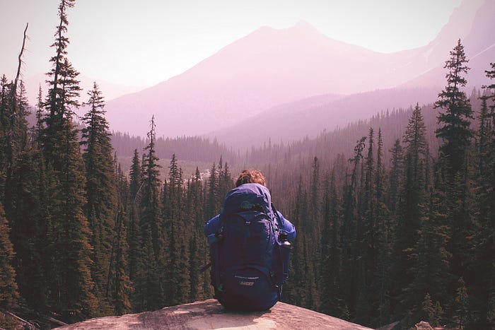 person with a backpack sitting on a mountain looking over trees