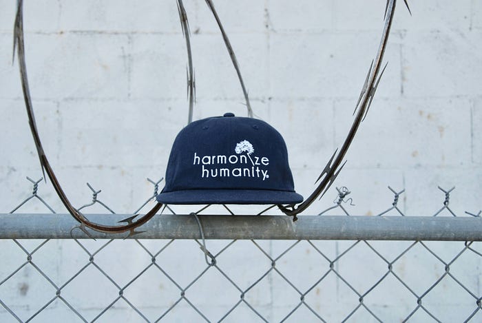 Debiasing Vector Embeddings: The First Step Toward Fair AI