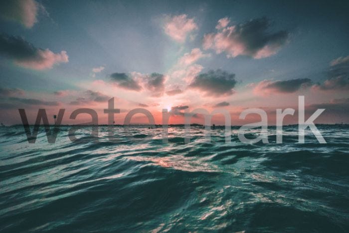 Which API Can Remove Watermarked Text In 2023?