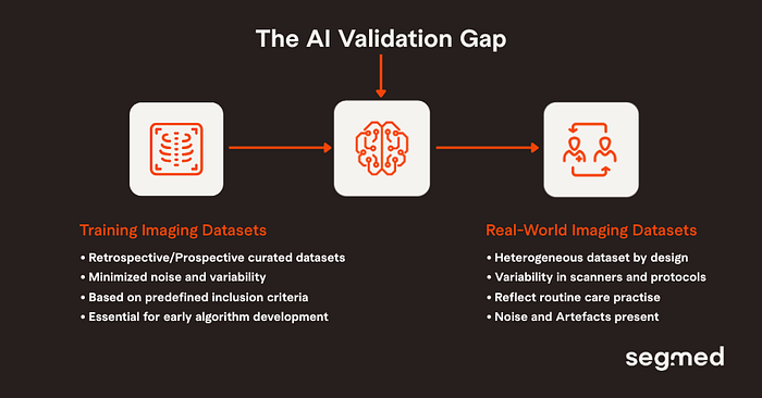 The AI Validation Gap - Segmed