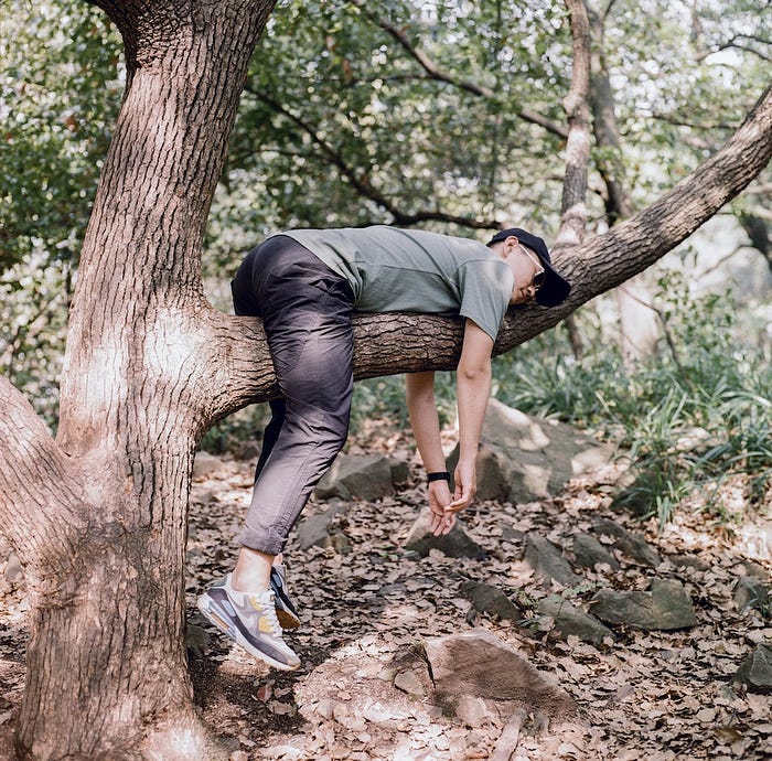 Dysfunction in Adult ADHD. Amizur Nachshoni
