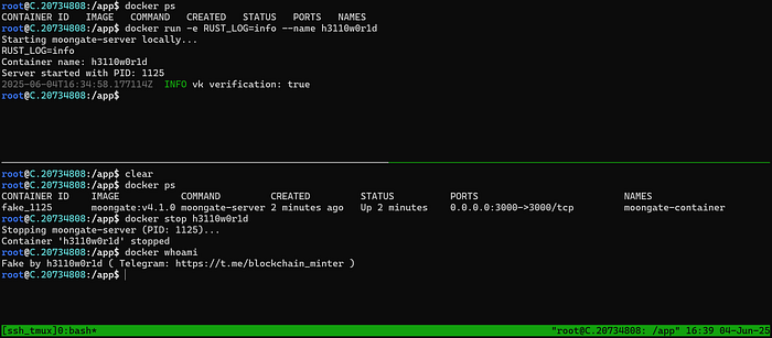 Running Cysic Prover with Vast/RunPod
