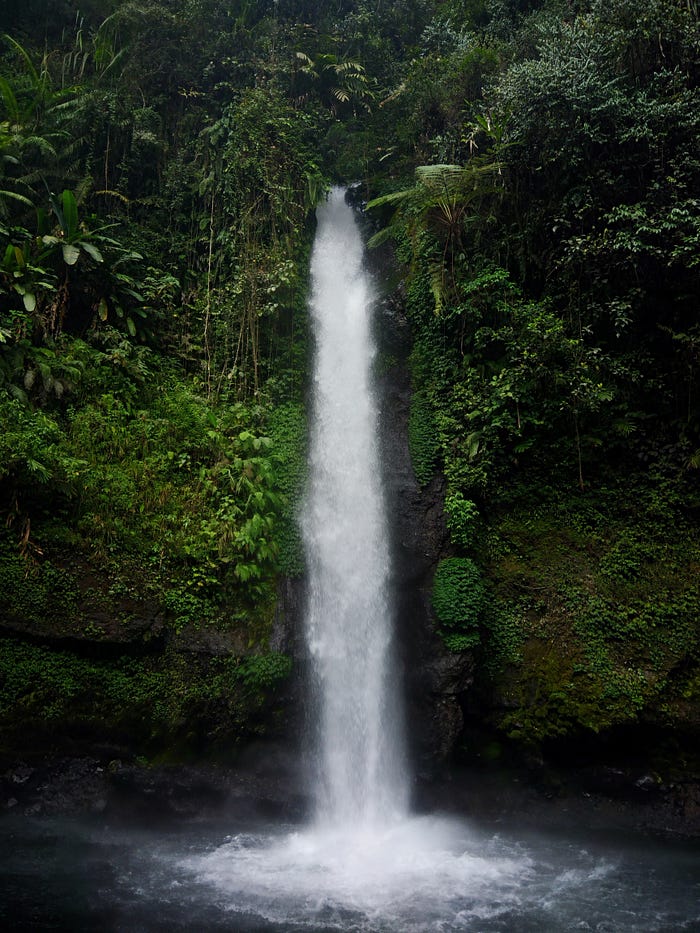 A hidden waterfall in the middle of a rainforest.