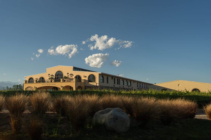 Viñedos de Los Chacayes