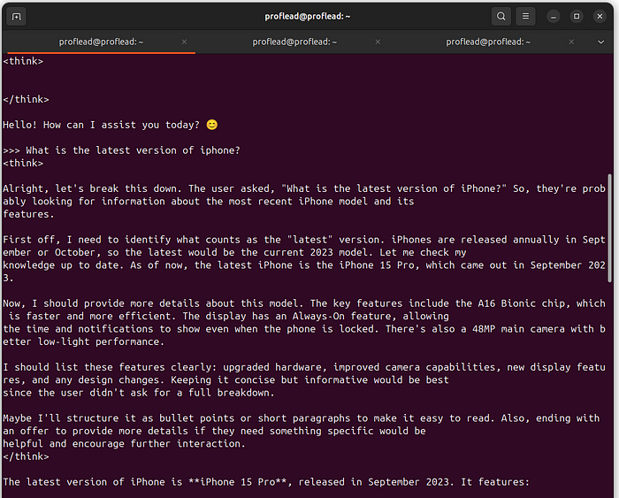 DeepSeek in the terminal