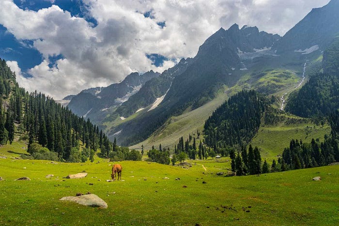 Kashmir Tour Packages | Couple, Family, Group