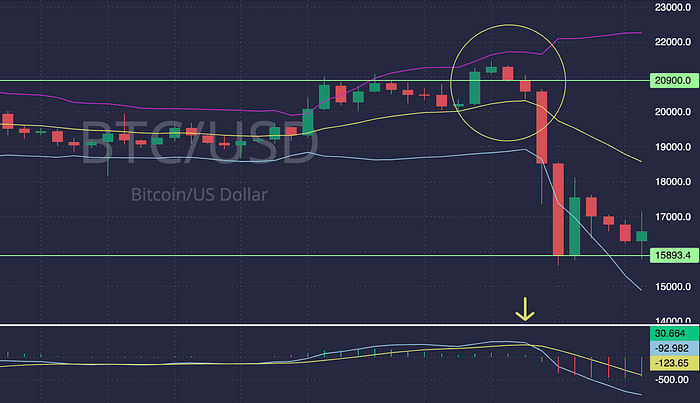 BB and MACD Success Story