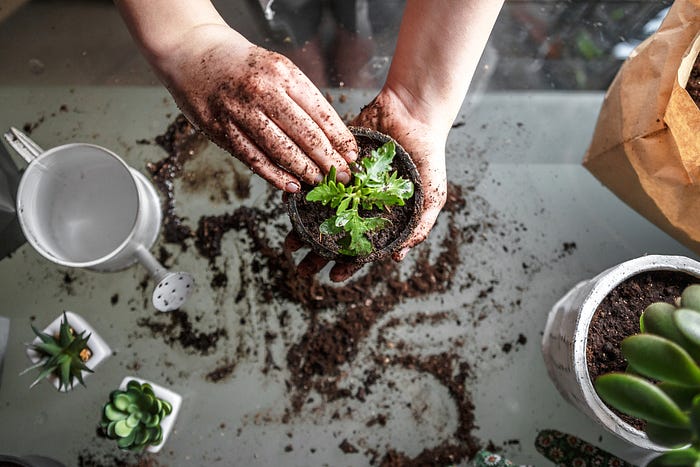 Garden Care Services in Stockholm: Your Green Oasis Expert 1 Garden Care Services in Stockholm: Your Green Oasis Expert
