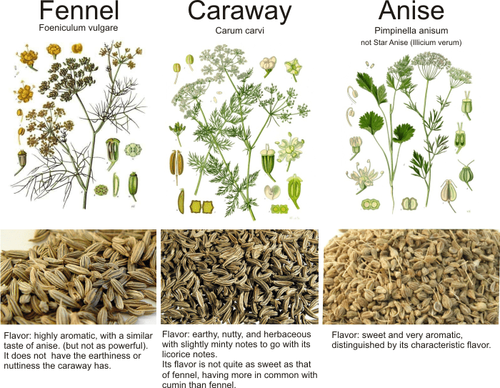 Spice Anise Seed vs Fennel Seed. Anise Seed vs Fennel Seed 兩者都有八角