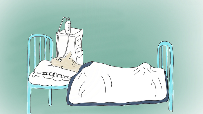 hospital regret cartoon