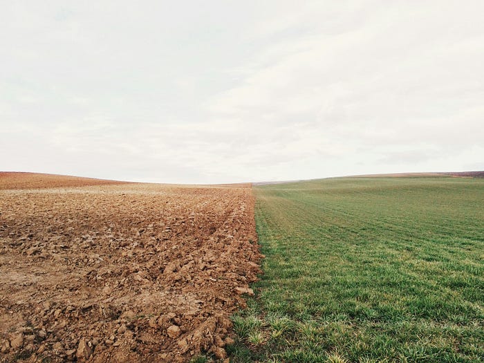 A field divided in half between green grass and barren land