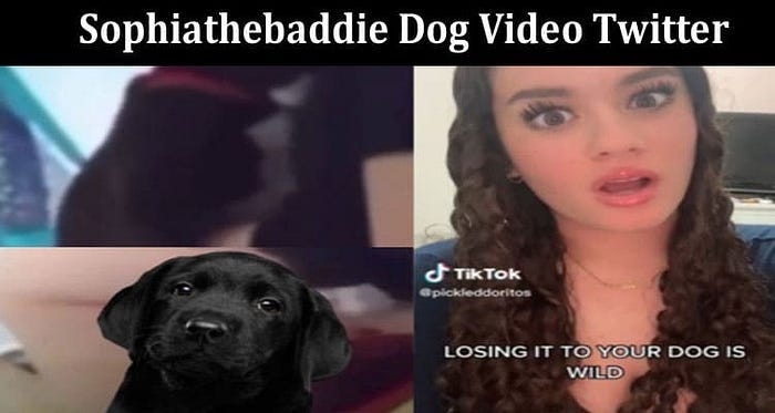 Sophia the baddie dog video on Twitter - Saqilofada - Medium
