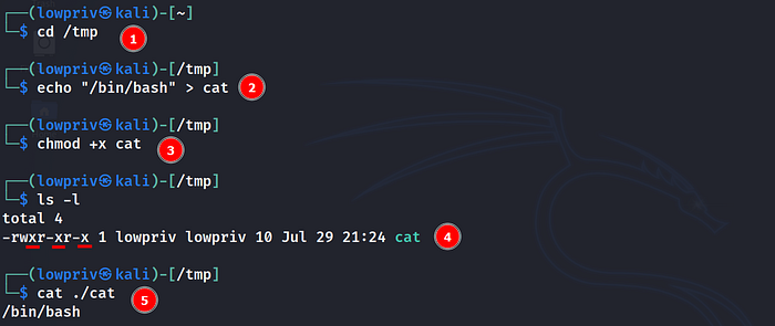 Creating new cat executable