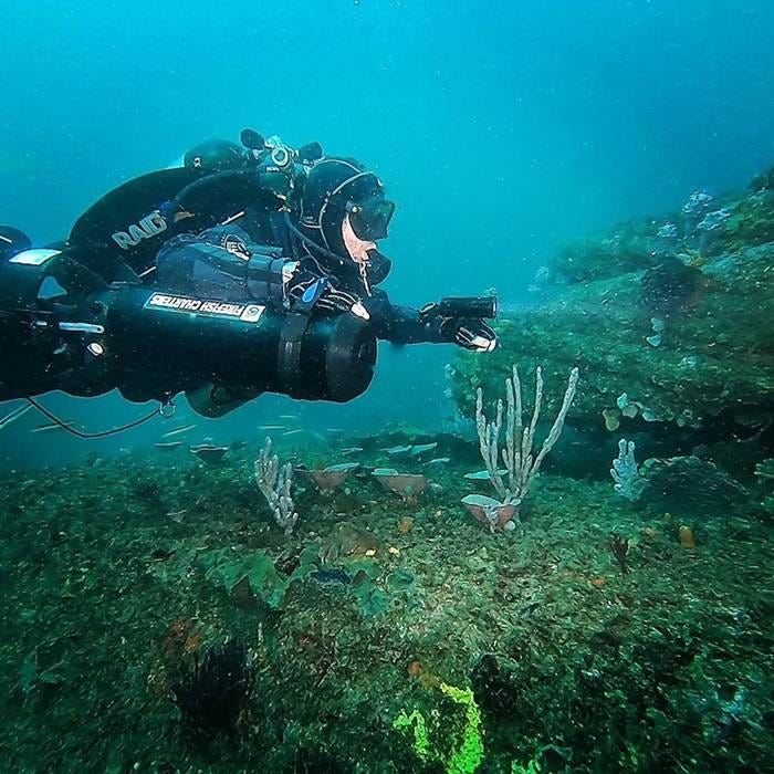 Wait no more to dive deep! Call us the Sydney Dive Charters. by Jason